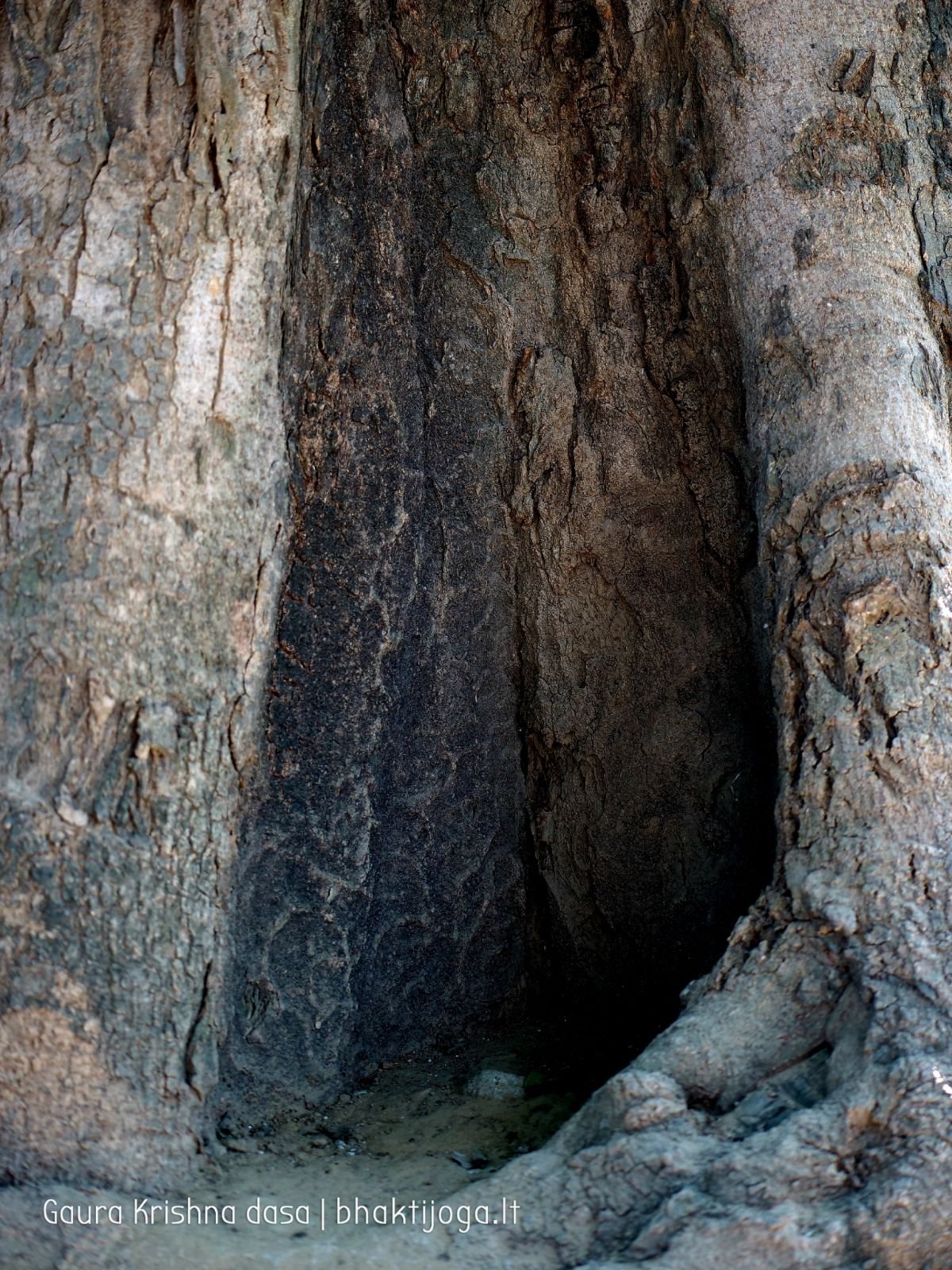  Varshana parikrama and preaching. 2019.12.10